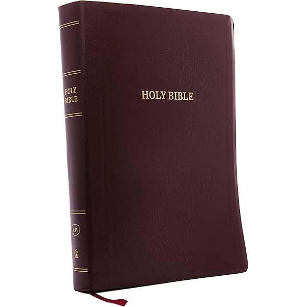 KJV Holy Bible: Personal Size Giant Print with 43,000 Cross