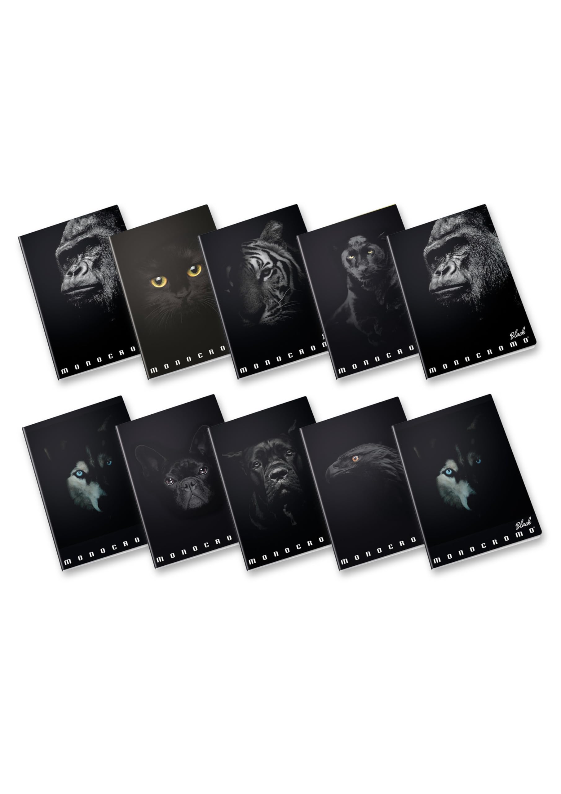 Pigna Maxi Notebook Monocromo Black 02303374M - Ruling 4M - Pack of 10 Notebooks