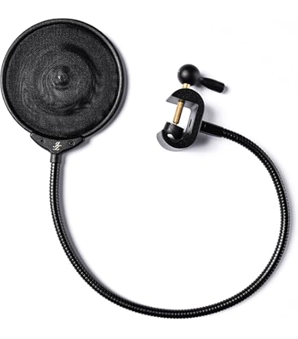 ISOVOX ISOPOP ポップガード マイクフィルター (ブロンズ) Amazon.com: ISOVOX IsoPop Filter - Bronze : Musical Instruments