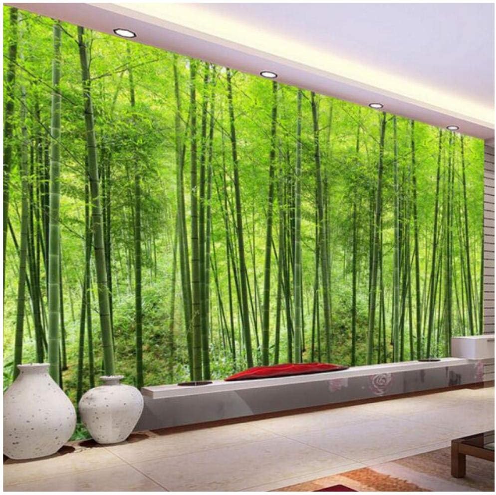 Amazon.com: Yxjj1 Custom Photo Wallpaper Bamboo Forest Art Wall