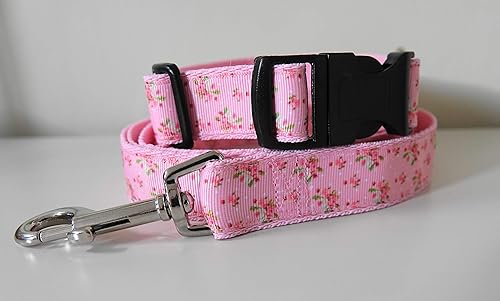 dog leads amazon uk