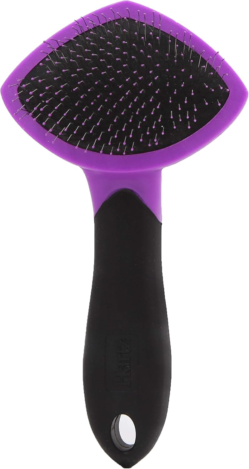 HARTZ, Groomer's Best Small Slicker Brush for Cats and Small Dogs, Black/Violet, 1 Count : Pet Brushes : Pet Supplies