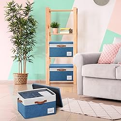 GhvyenntteS Fabric Storage Bins with Lids