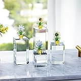 ZEERSHEE Set 4 Clear Crystal Cube Display Blocks
