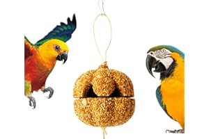 Parakeet Treats - Treat Chew for Parrot,Pumpkin Shape Parakeet Grains,for Canary Guinea Chinchilla Lovebird Conure