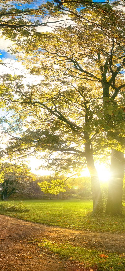 PeelitStickit Nature Wallpaper, Wall Mural ID-035, vinyl