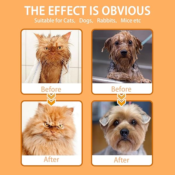 PET WIPES FOR DOGS AND CATS, CAT WIPES DOG WIPES CLEANING DEODORIZING HYPOALLERGENIC CAT WIPES CLEANING FUR AND BUTT PET GROOMING GLOVES FOR DOGS,CAT CLEANING WIPES FOR DAILY CARE AND TRAVELING-6 PCS