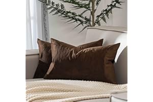 JUSPURBET Brown Lumbar Velvet Throw Pillow Covers 12x20 inch Set of 2 for Living Room Couch Sofa Bedroom Decorative Rectangle Solid Soft Cushion Cases with Invisible Zipper