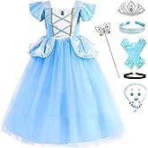 Fengligoo Blue Princess Costume Dress for Girls Kids Halloween Cosplay Party Outfit with Accessories