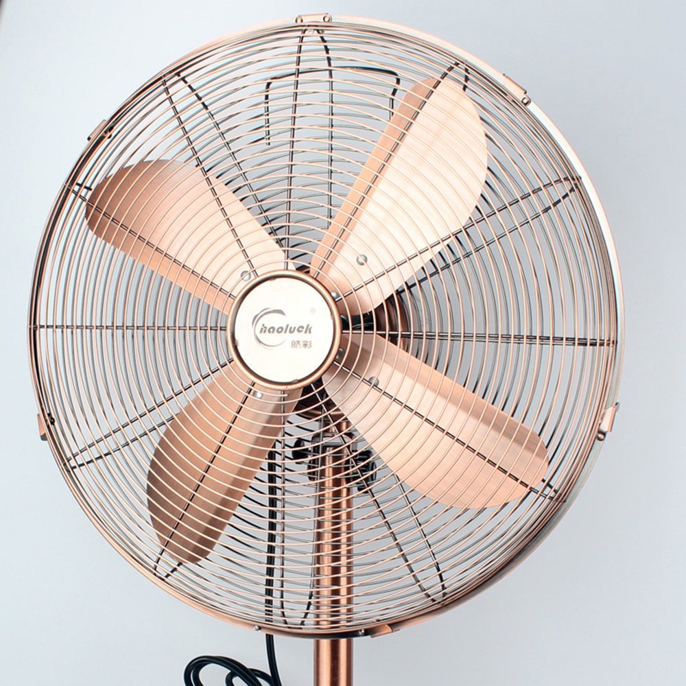 Ynn B07fmg9mn1 ペデスタルファン 16インチ 銅 壁掛扇風機 21春夏新色 Eurlhosnakamel Dz