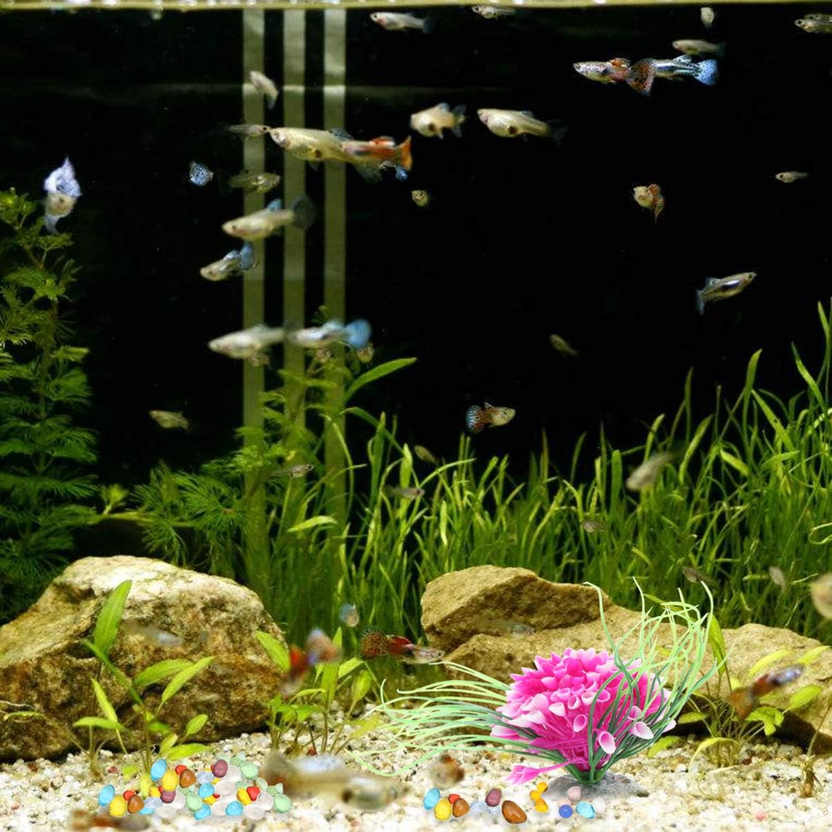 Amazon Popetpop 飾り石 水槽用飾り石 500g 観賞 魚 ガラス クリスタル石 水槽用底砂 庭園アクセサリ カラフル 金魚鉢アクセサリー 花瓶飾り 水槽 水族用品 Popetpop 底床 通販 Amazon Popetpop 飾り石 水槽用飾り石 500g 観賞 魚 ガラス クリスタル石 水槽用底砂 庭園アクセサリ カラフル 金魚鉢アクセサリー 花瓶飾り 水槽 水族用品 Popetpop 底床 通販