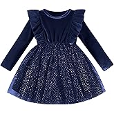 DREAM BUS Toddler Girl Christmas Dress Baby Girl Long Sleeve Ruffled Velvet Top Tulle Dress Special Occasion Dress