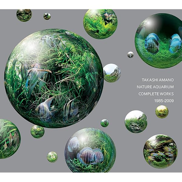 Nature Aquarium World: How You Can Make A Most Beautiful Aquarium