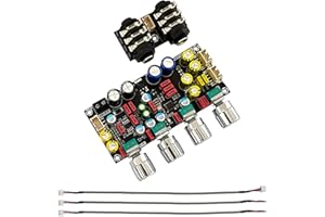JAGTRADE Reverberation Board Digital Microphone Amplifier Board Karaoke Plate Preamplifier Reverberator Suite Component