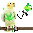 Dnoifne Pet Parrot Bird Harness and Leash, Adjustable Training Design Anti-Bite, Bird Nylon Rope with Cute Wing for Parrots, Suitable for Scarlet, Keck, Mini Macaw and Same Size Birds (Green)