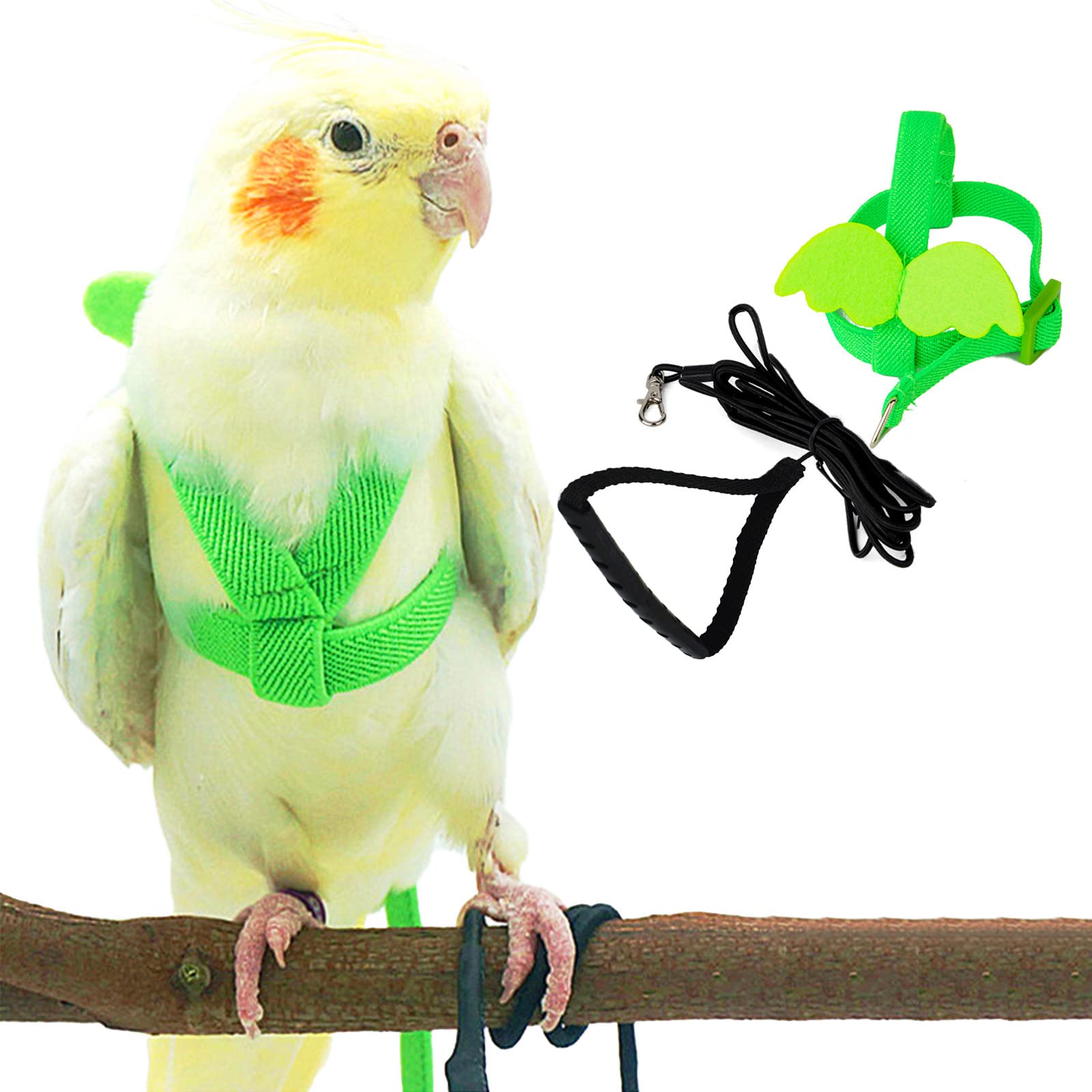 Pet Parrot Bird Harness and Leash, Adjustable Training Design Anti-Bite, Bird Nylon Rope with Cute Wing for Parrots, Suitable for Alexandrine, Scarlet, Keck, Mini Macaw and Same Size Birds (Green) — image 1