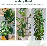 Mcbazel Moss Pole 160CM Bendable Coir Plant Support with Tape & Ties view 6