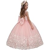 ABAO SISTER Flower Girl Dress Lace Embroidery Princess Pageant Ball Gown Kids First Communion Dresses
