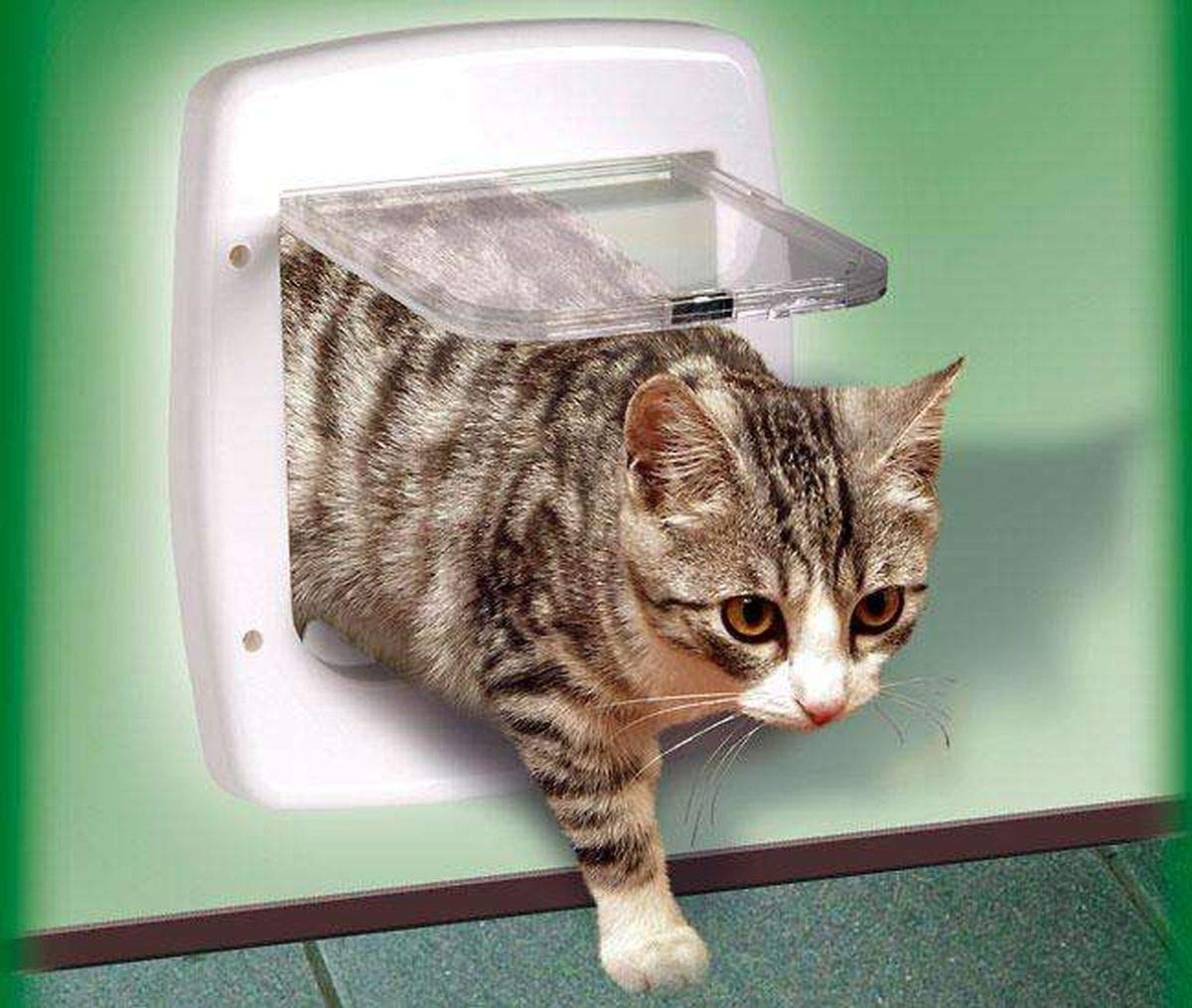 Karlie 08241 Cat Flap 4Way White 246 x 212 x 28 mm Amazon.co.uk Pet