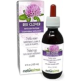 Naturalma Red Clover (Trifolium pratense) herb with Flowers Alcohol-Free Tincture - 4 fl oz Liquid Extract in Drops - Herbal Supplement - Vegan