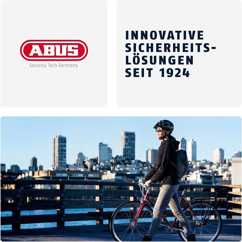 Kettenschloss Goose Lock – biegsames, klapperfreies Fahrradschloss aus gehärtetem Stahl – 6 mm stark – 110 cm lang – mit Schlüssel – Schwarz