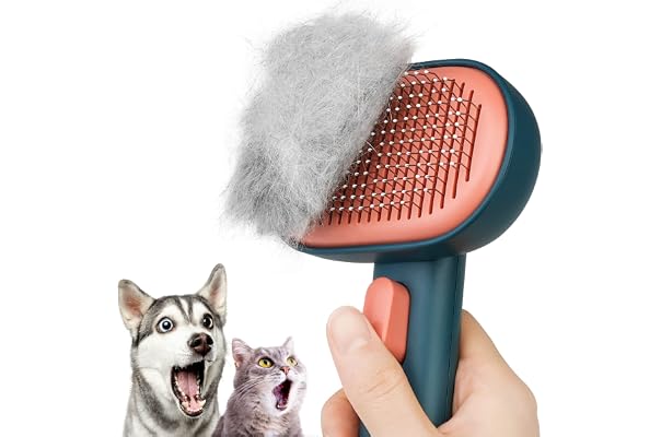 Amazon Los más vendidos: Mejor Cepillos para Gatos