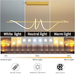 Modern Chandelier, Dimmable LED Pendant Light, Ring