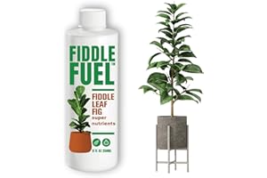 Fiddle Fuel – the Ultimate Fiddle Leaf Fig Plant Food and Fiddle Leaf Fig Fertilizer Liquid Nutrients Dissolves in Water for 