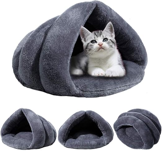cat sleeping house