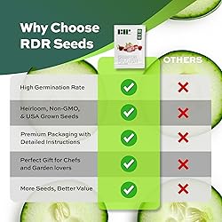 500 Champion Radish Seeds | USA