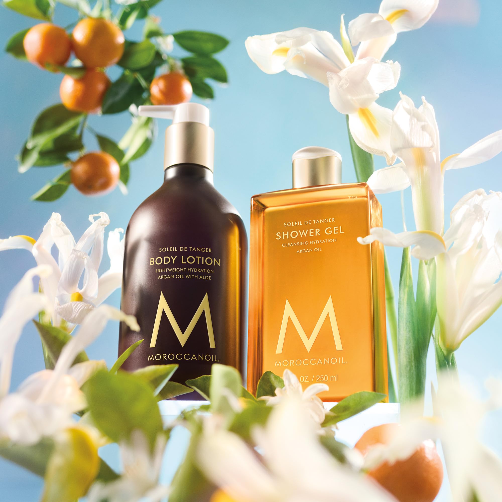Moroccanoil Soleil De Tanger Set