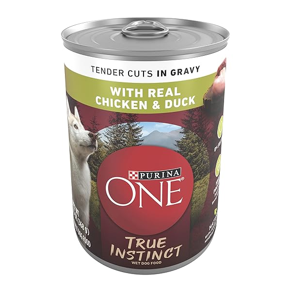 PURINA ONE HIGH PROTEIN WET DOG FOOD TRUE...