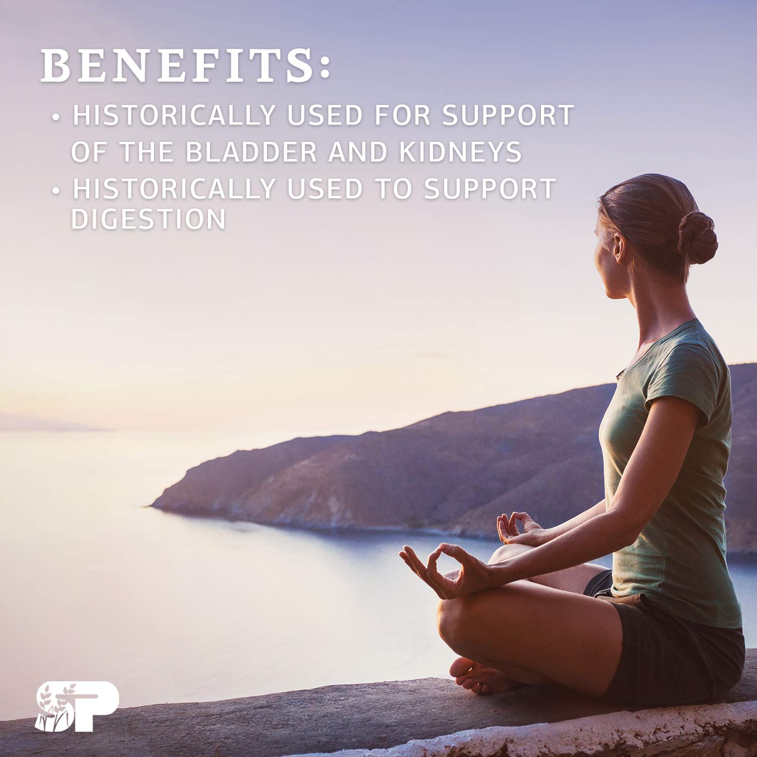 Standard Process Collinsonia Root 150 Capsules Buy Online in UAE