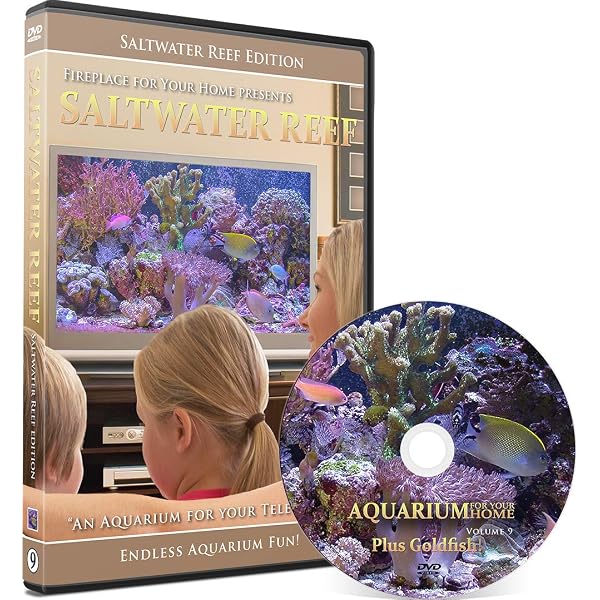 (未使用･未開封品)Exotic Saltwater Aquarium Sd [DVD] Amazon.com: Exotic Saltwater Aquarium : Artist Not Provided