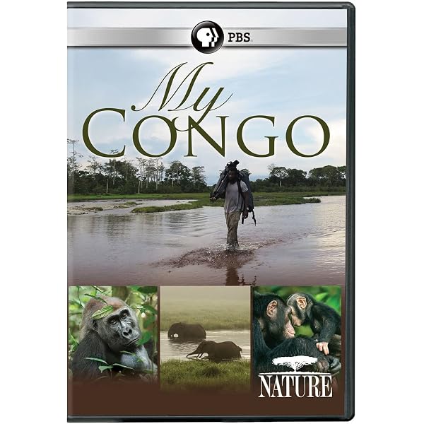 その他 Nature Tracks: Wild Africa: Season 1 [DVD] Amazon.com: Nature Tracks: Wild Africa: Season 1 : Worldwide Media