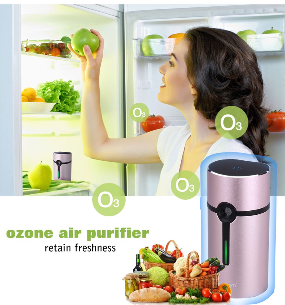 Activated Oxygen Refrigerator Deodorizer Filter. Mini Size Multi-purpose Sterilizing Deodorizer Purifier for Fridge Cooler Chamber, Shoe Closets, Cabinets, Wardrobes, Car, Travelling cases, etc