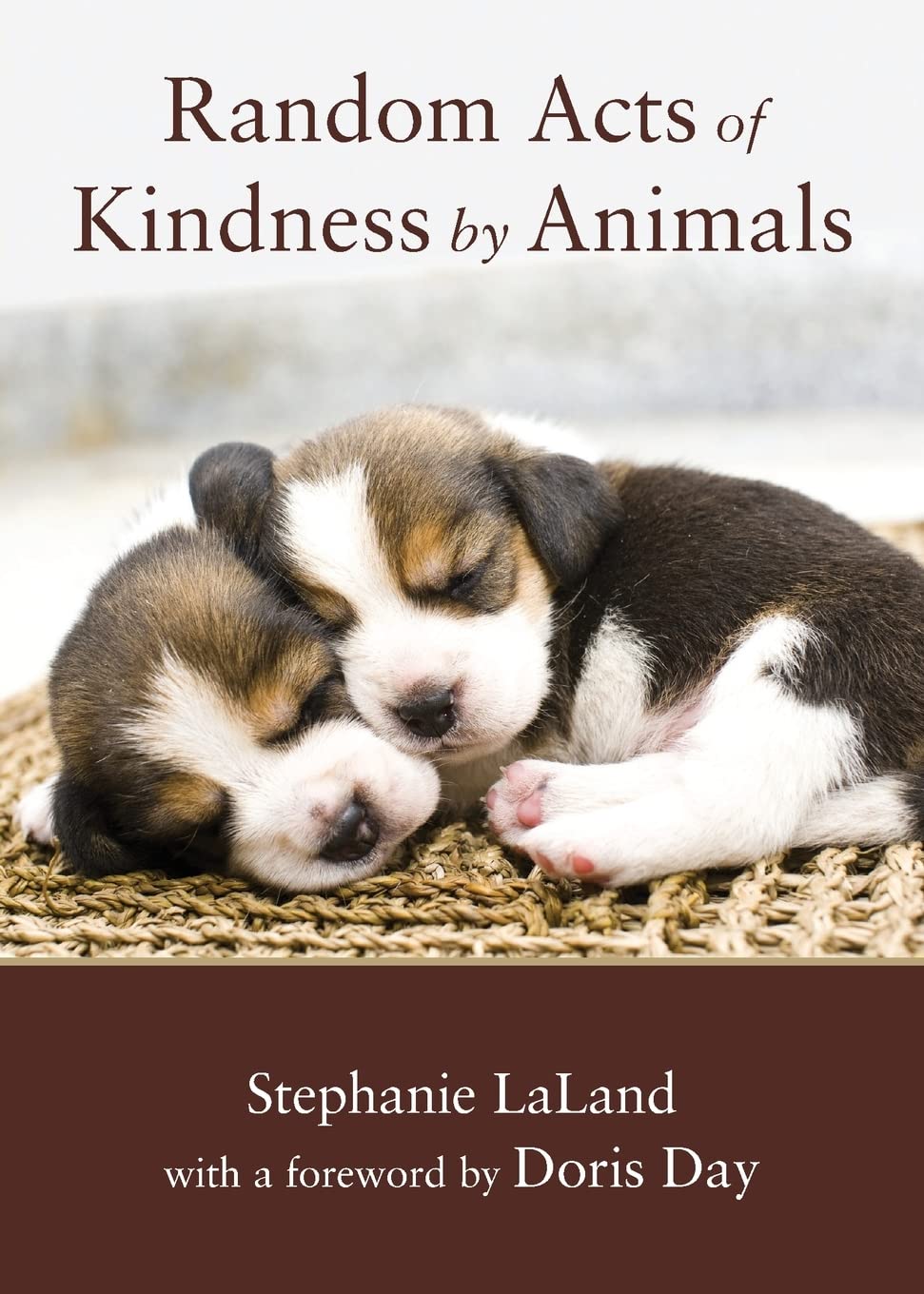 Random Acts of Kindness by Animals: (Animal Stories for Adults, Animal Love Book)