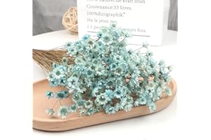 SONGJUM 200 Stems Dried Flowers Brazilian Small Star Daisy Decorative Dried Flowers Mini Daisy Chamomile Bouquet for DIY Home Wedding Decor Gift（Blue）
