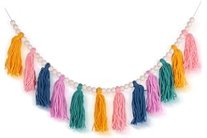 XMGZQ Boho Tassel Garland Terracotta Rainbow Tassel Wall Hanging Decor for Spring Nursery Party Kids Bedroom Dorm Office Birthday Baby Shower Decor (Q)