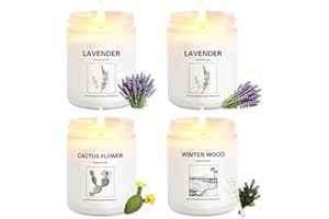 THORNWOLF Holiday & Christmas Winter Candles Gift Set,4 Pack Long Lasting Soy Candles for Home,Natural Aromatherapy Candles with Relaxing Scents,Perfect Spa Gifts for Women