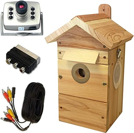Garden Secrets Cedar Bird Nest Box Feeder With Colour Amazon Co
