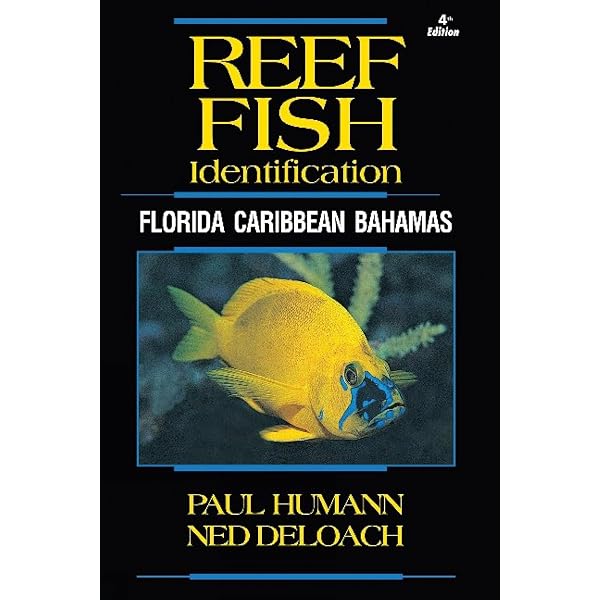 Fishes of the Great Barrier Reef and Coral Sea, Revised and