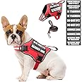 MOOGROU Service Dog Vest Harness and Leash Set+10 Patches,No Pull&Adjustable Reflective Dog Harness with Soft Padded Handle for Training/Everyday,Fit Small/Medium/Large/Extra-Large Dogs (Red S)