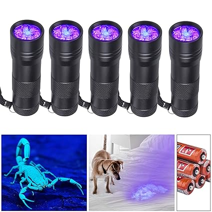Beinhome 5 Pack UV Flashlight Black Light 12 LED Ultra violet Blacklight Detector for Dog Urine, Pet Stains and Bed Bug (Batteries Included)