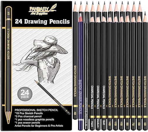 Amazon Pandafly 24点 描画 スケッチ用鉛筆アートセット 初心者 子供や好きなアーティストに最適 グラファイト鉛筆とチャコール 鉛筆 木製鉛筆 消しゴム鉛筆付き 鉛筆 文房具 オフィス用品