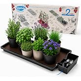 Happy Hydro Tray2Grow System - Standard Tray2Grow with No Tank - Self-Watering, Gravity-Fed Hydroponic Indoor System, Black