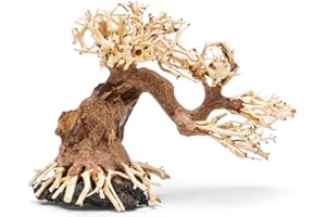 Ultum Nature Systems Bonsai - Handcrafted Hardscape Driftwood for Aquarium, Terrarium, Vivarium, Natural Aquascape Hardscape Decorations, Aquascaping Hardscape for Live Aquatic Plants - 006, Small