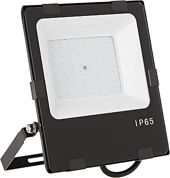 Espled Proyector LED 50W, 50 W, Negro: Amazon.es: Iluminación