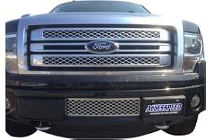ECOBOOST GRILLES Ford Ecoboost Chrome Grille - Accesspeed Durable OEM Style ABS Plastic LOWER BUMPER GRILLE Insert - Compatible with 2013 Ford F-150 Trucks