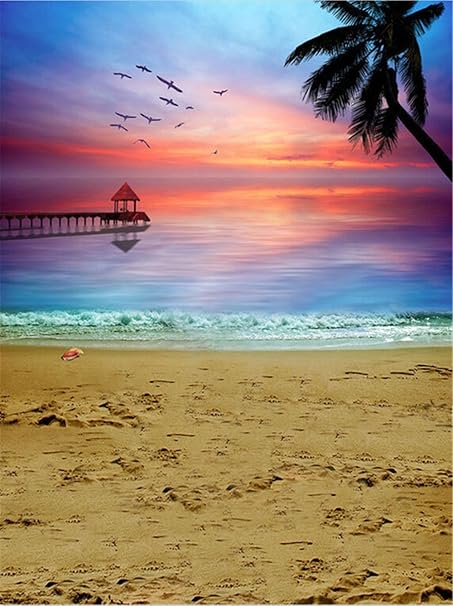 Amazon 5 X 7ft美しい風景夏ビーチ写真背景ブルーsky Sunset Seagullウェディングbackdrops Photo Studio バックペーパー 背景布 通販